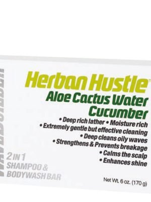 WAVEBUILDER 2 In 1 Shampoo & Bodywash Bar Aloe Cactus Water Cucumber